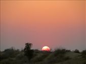 by coati2012, Views[360]