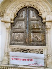 Karni Mata (rat) Temple: by coati2012, Views[320]