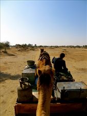 by coati2012, Views[168]