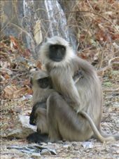 by coati2012, Views[231]