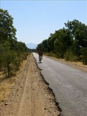 by coati2012, Views[296]