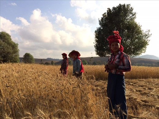 Trek to Inle Lake- Myanmar