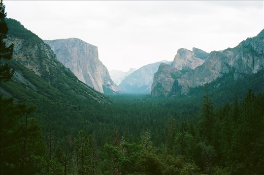 Valley Floor, Yosemtie National Park