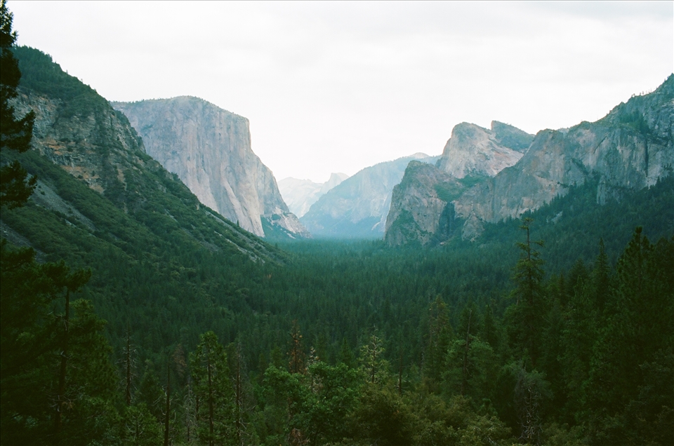 Valley Floor, Yosemtie National Park