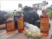 by coggos, Views[384]