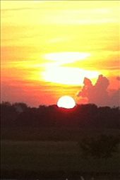 by coggos, Views[322]