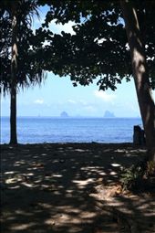 by coggos, Views[296]