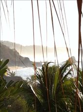 by coggos, Views[306]