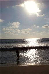 by coggos, Views[334]