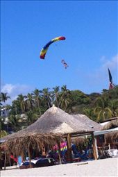 by coggos, Views[337]