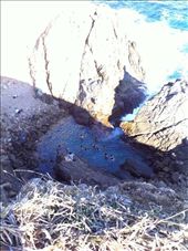 by coggos, Views[387]