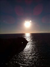 by coggos, Views[452]