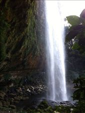 by coggos, Views[377]