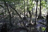 by coggos, Views[238]