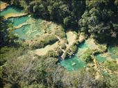 by coggos, Views[338]