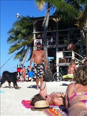 by coggos, Views[295]