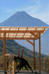 by coggos, Views[440]