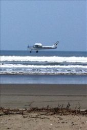 by coggos, Views[437]