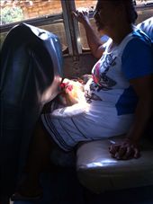 by coggos, Views[272]