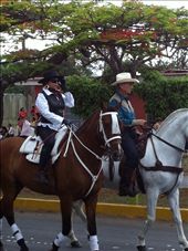 by coggos, Views[323]