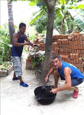 by coggos, Views[472]