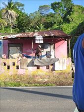 by coggos, Views[329]