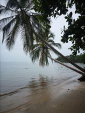 by coggos, Views[337]