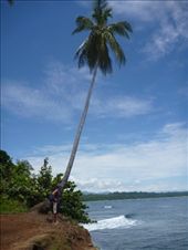 by coggos, Views[368]