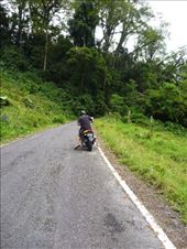 by coggos, Views[161]