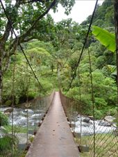 by coggos, Views[175]