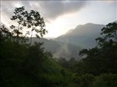 by coggos, Views[436]