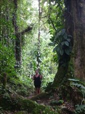 by coggos, Views[301]