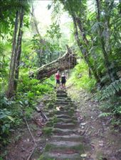 by coggos, Views[384]