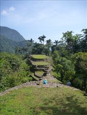 by coggos, Views[325]