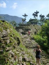 by coggos, Views[321]