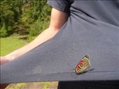 by coggos, Views[361]