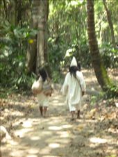 by coggos, Views[316]