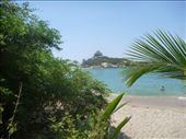 by coggos, Views[309]