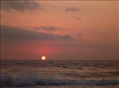 by coggos, Views[236]
