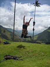 by coggos, Views[383]