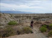 by coggos, Views[486]