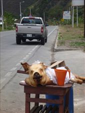 by coggos, Views[559]