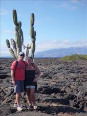 by coggos, Views[387]