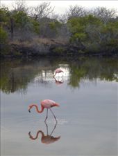 by coggos, Views[405]