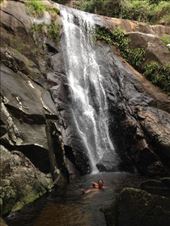 by coggos, Views[279]