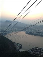 by coggos, Views[358]