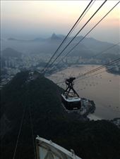 by coggos, Views[298]