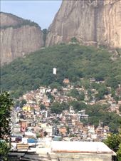 by coggos, Views[355]