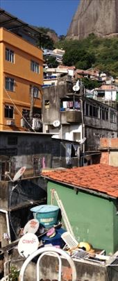 by coggos, Views[324]