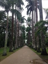 by coggos, Views[304]